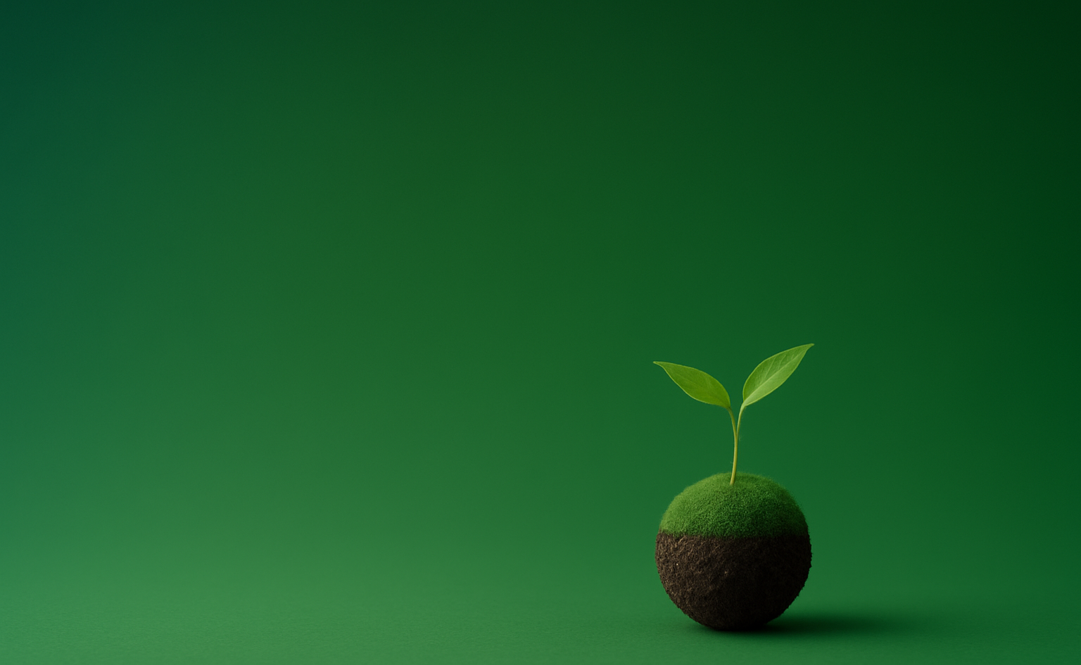 Excepteur sint occaecat cupidatat non proident, sunt in culpa qui officia